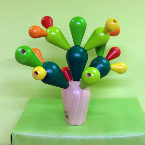 Cactus equilibrista